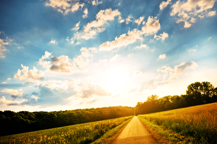 Dirt road through golden fields leading toward sunlit horizon